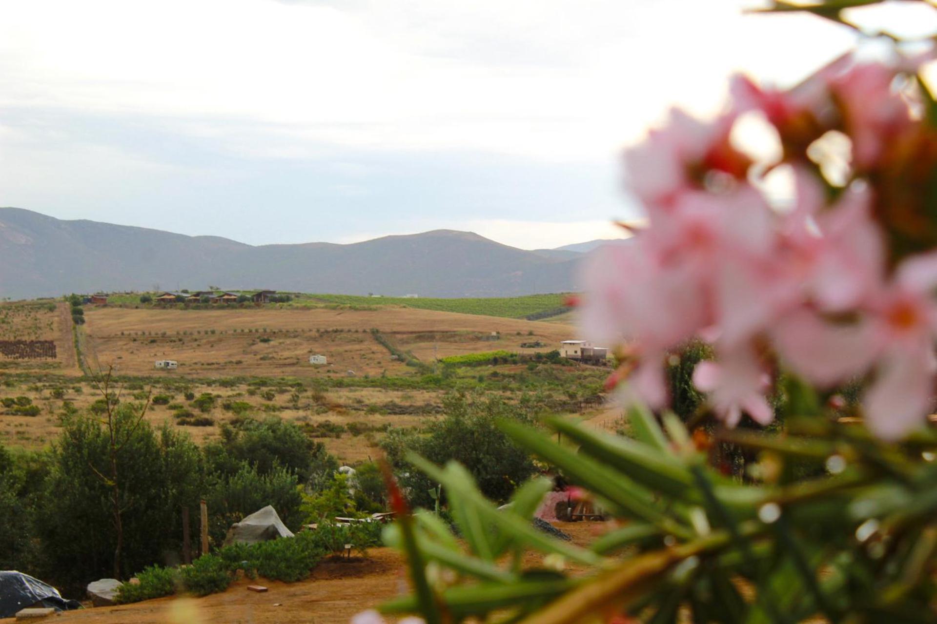 Gasthaus Colibri Tiny House Valle de Guadalupe Exterior foto